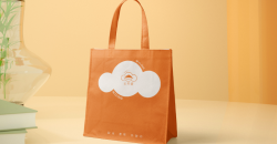 購物袋的價(jià)格很貴嗎