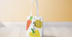 紙購物袋為何更受歡迎