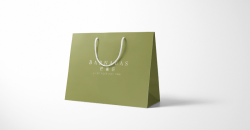 手提袋工廠設(shè)計(jì)印刷應(yīng)用案例