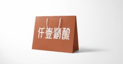 企業(yè)購(gòu)物袋設(shè)計(jì)印刷案例