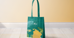 無紡布環(huán)保購物袋有哪些優(yōu)點(diǎn)