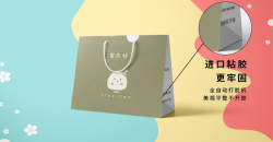 購(gòu)物袋設(shè)計(jì)